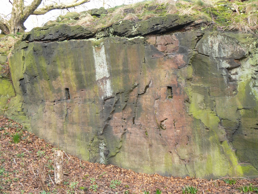 Old quarry 6